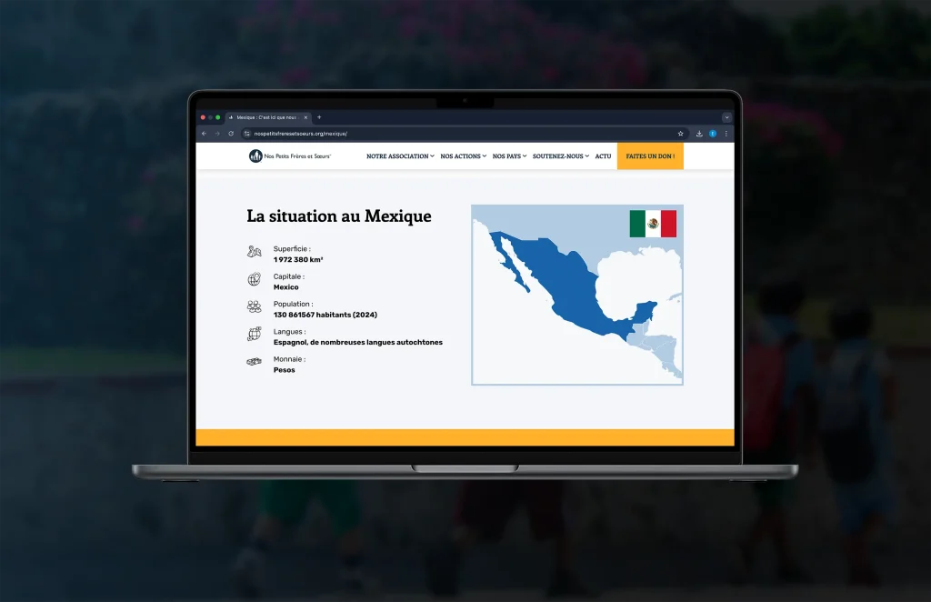 mockup NPFS mexique