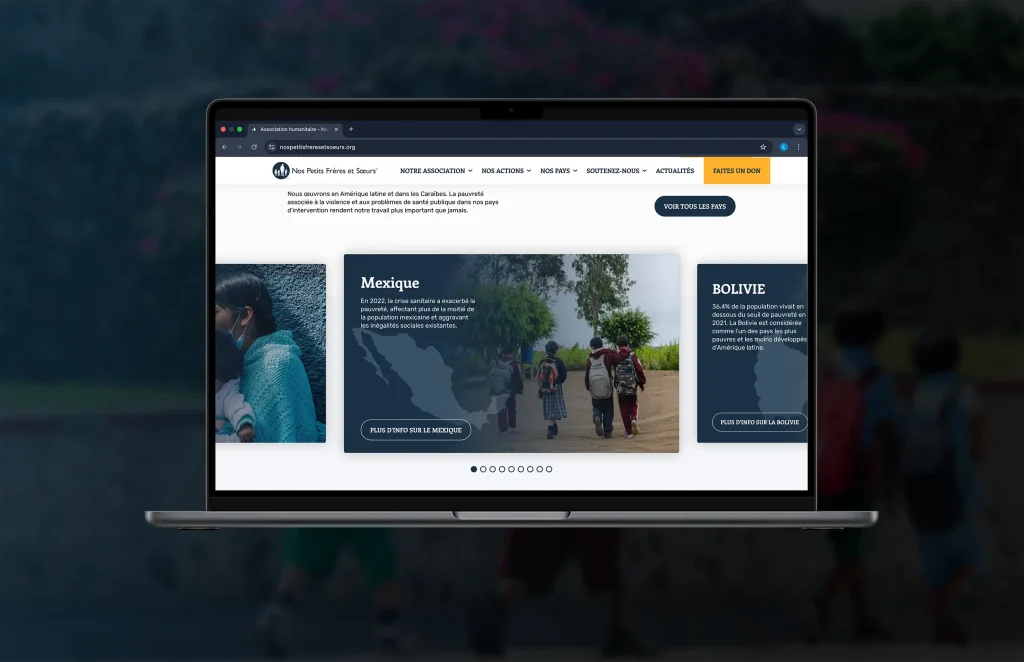mockup NPFS pays