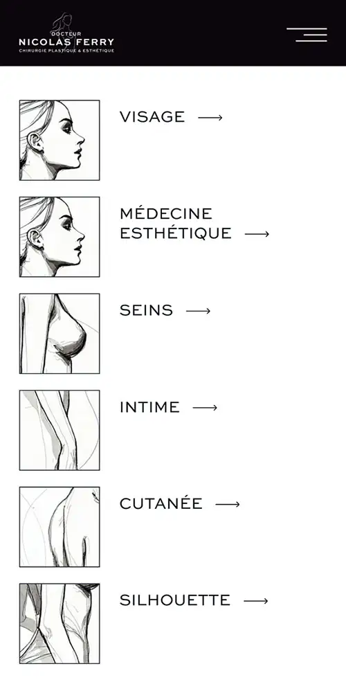 Refonte du site du Dr Ferry - Chirurgie esthétique 4 Mobile 1 Ferry